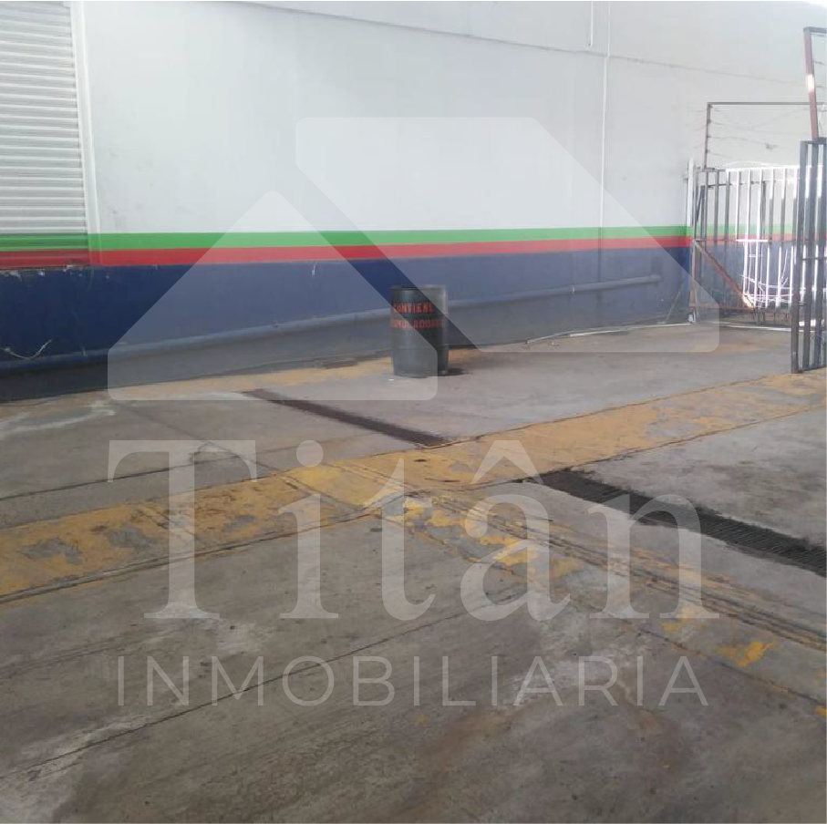 local para agencia en renta